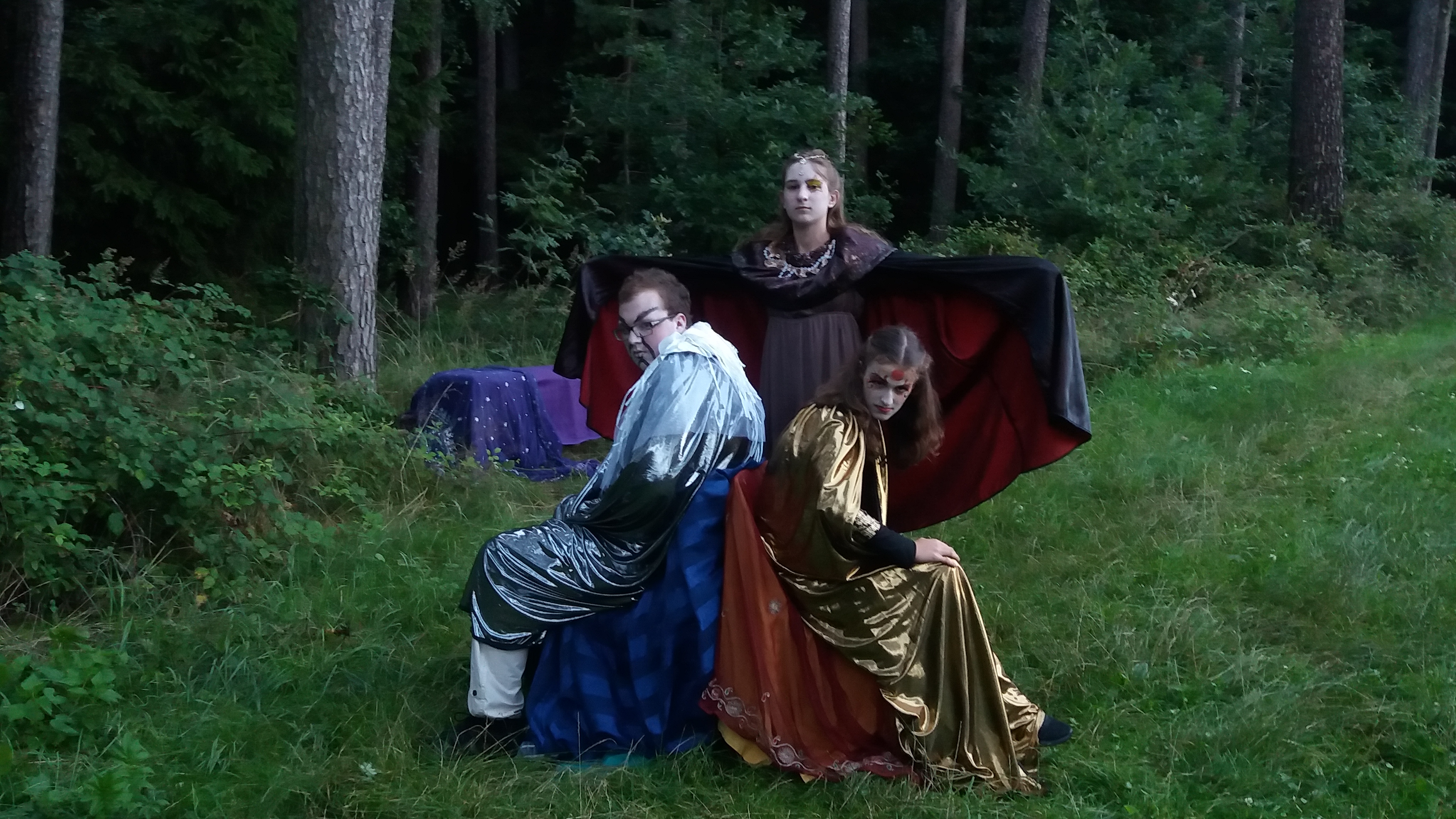 Raben Lehrberg 3.jpg