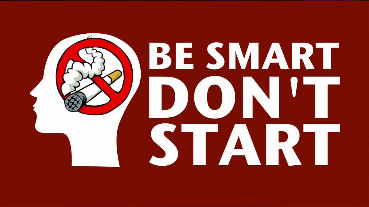 be smart _ offizielle Bilder (1).jpg