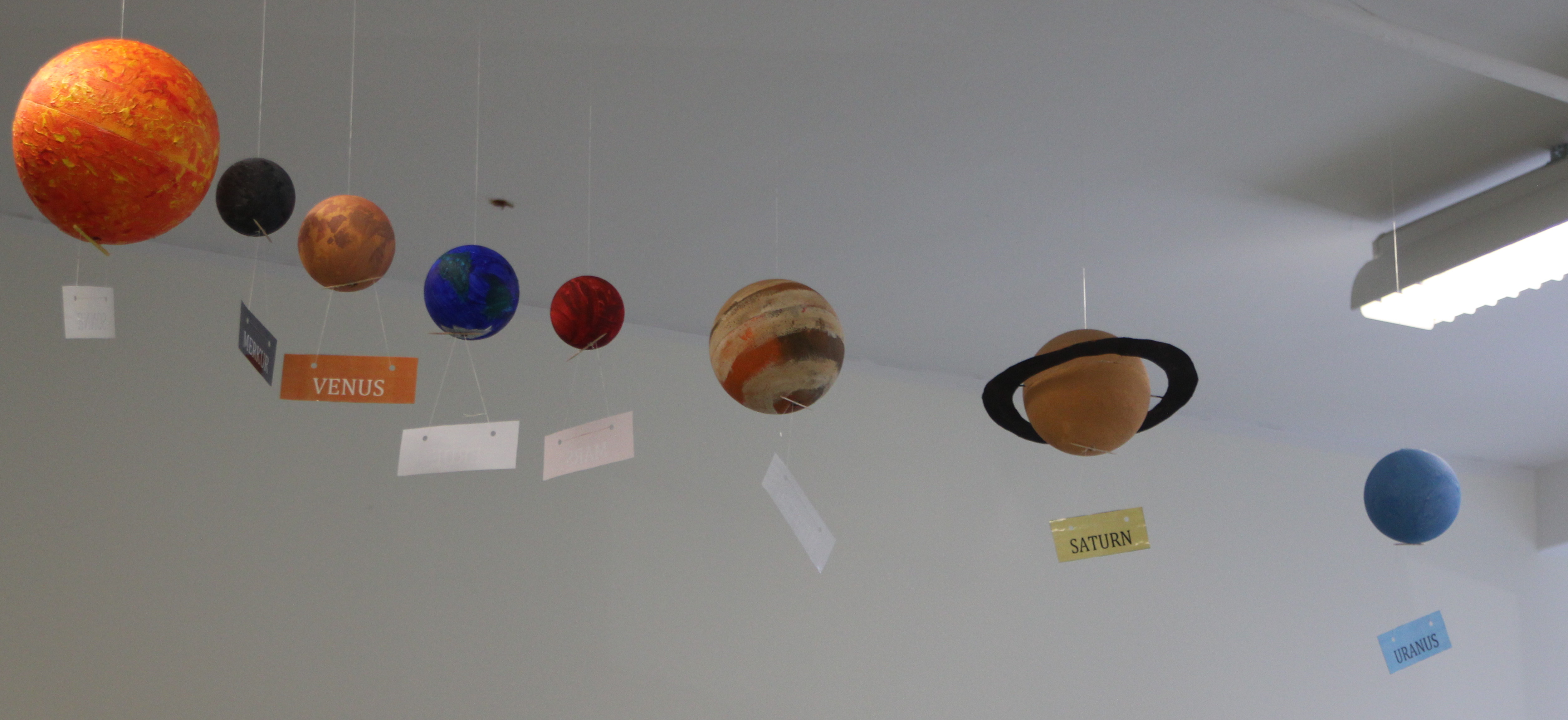 IMG_0158 - Kopie.JPG