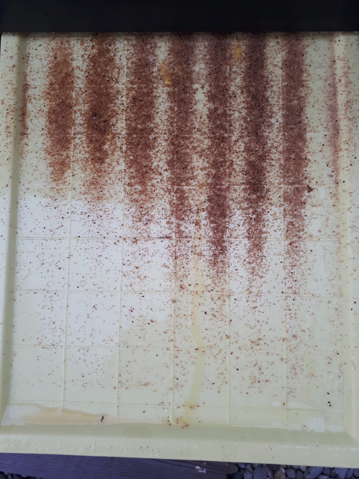 19 Nach Der Ameisensäurebehandlung