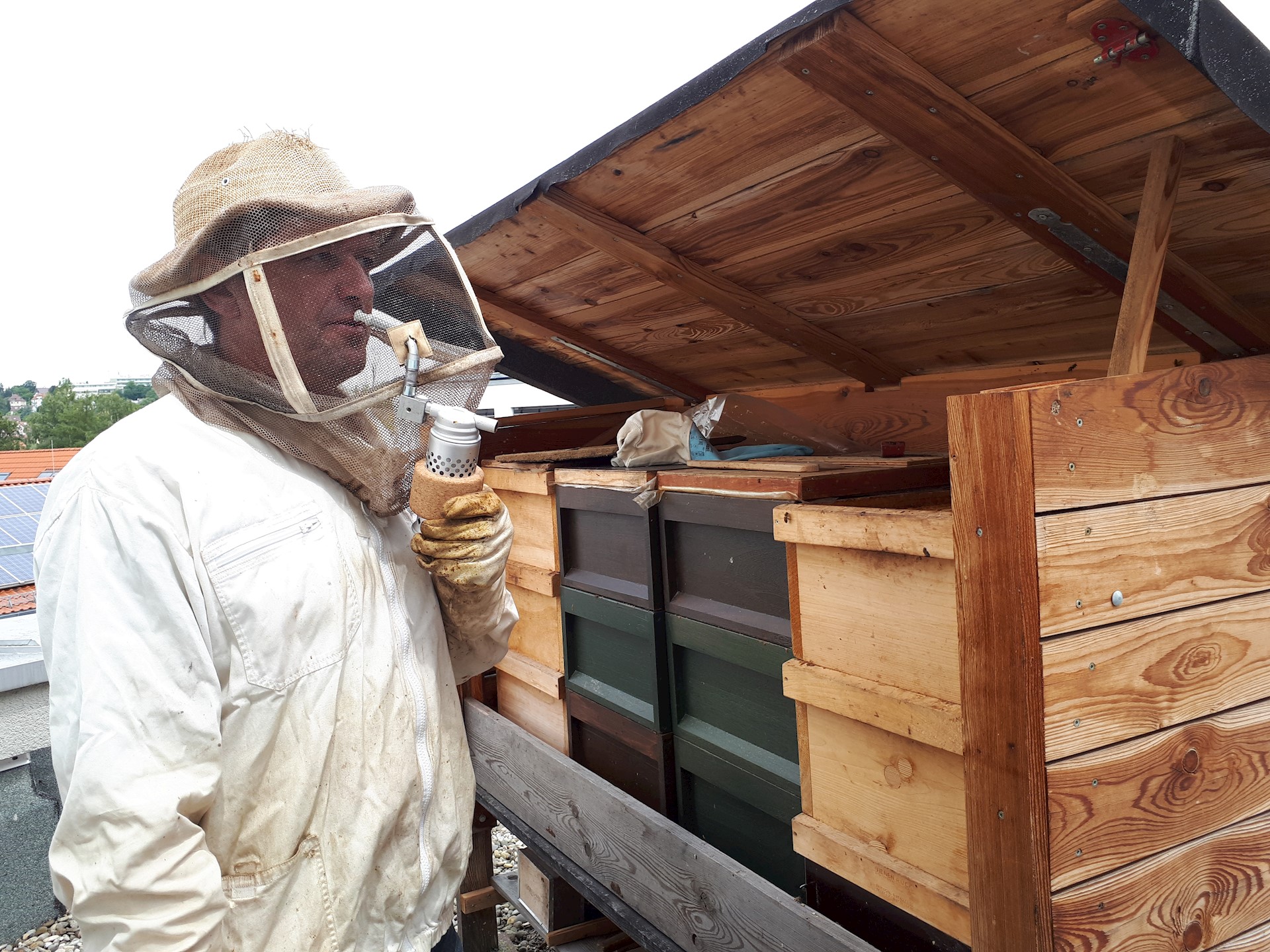 Imker Aus Leidenschaft