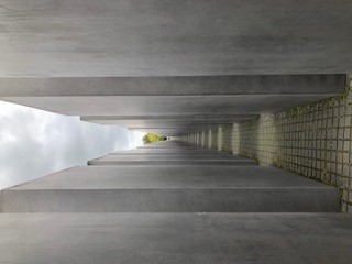 IMG 2376